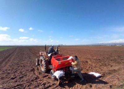 خبرنگاران پیش بینی کشت سیب زمینی در 19 هزار هکتار از اراضی زراعی استان اردبیل