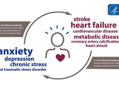افزایش اضطراب باعث بالا رفتن فشار خون و سکته قلبی است